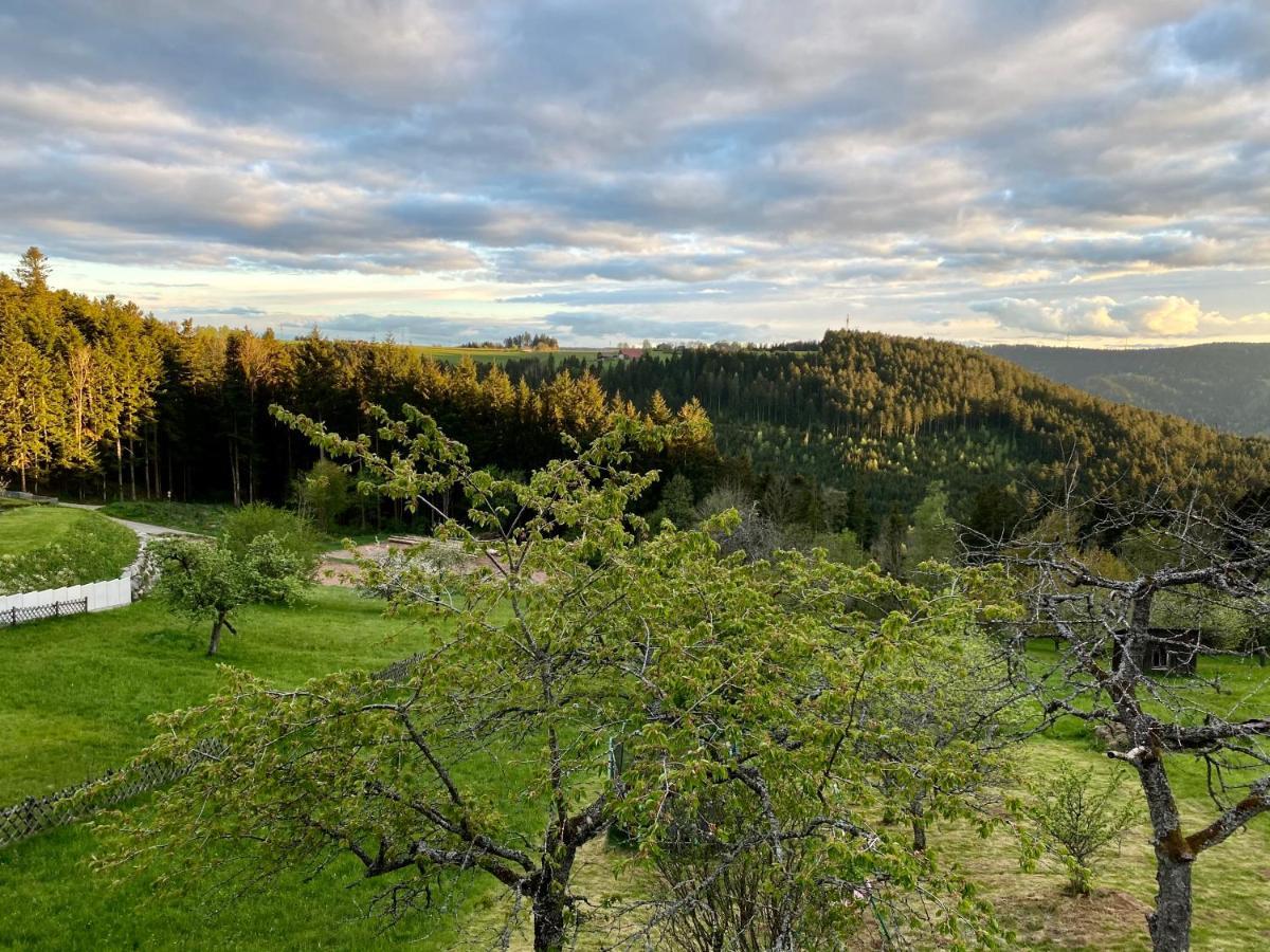 Ferienhaus Mit 5* Luxus Im Schwarzwald Aichhalden Luaran gambar